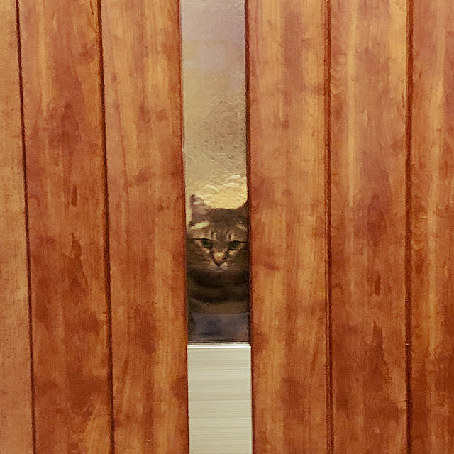 Momoさんの実例写真
