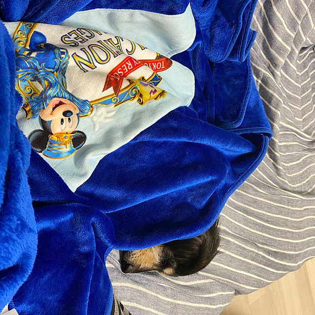 ohanaさんの実例写真
