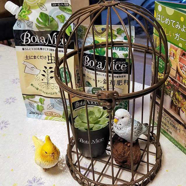 takoさんの実例写真