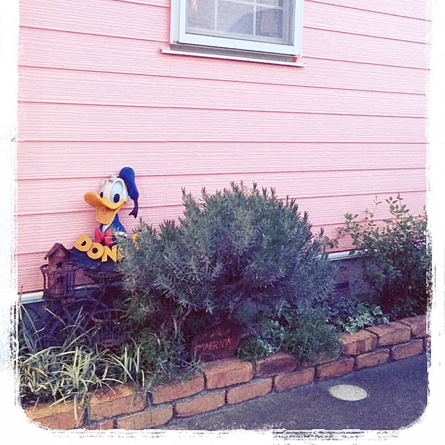 LEMONEDさんの実例写真