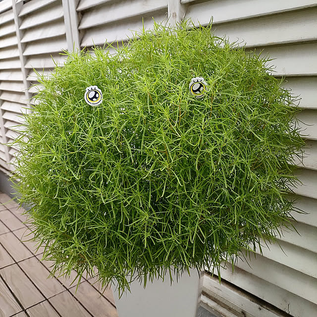 VERANDARJUNさんの実例写真