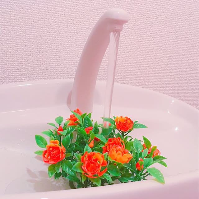 Azuさんの実例写真