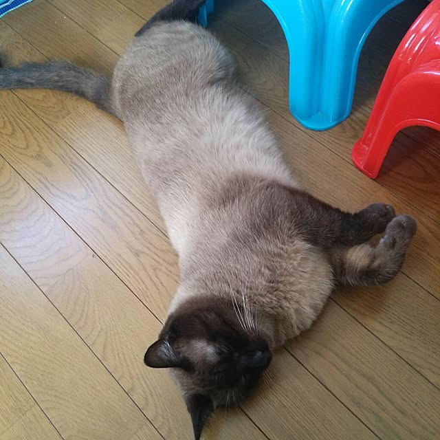 ricoさんの実例写真