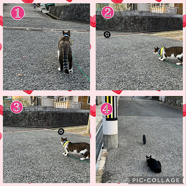 jijiさんの実例写真