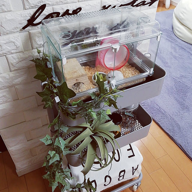 G.Mさんの実例写真
