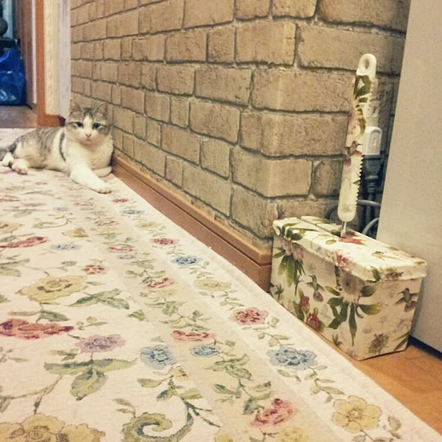 emmyyさんの実例写真