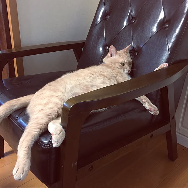 mikan161さんの実例写真