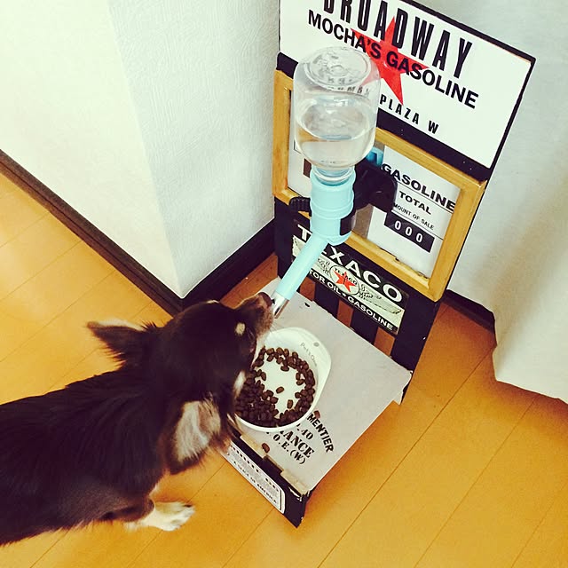 takaさんの実例写真
