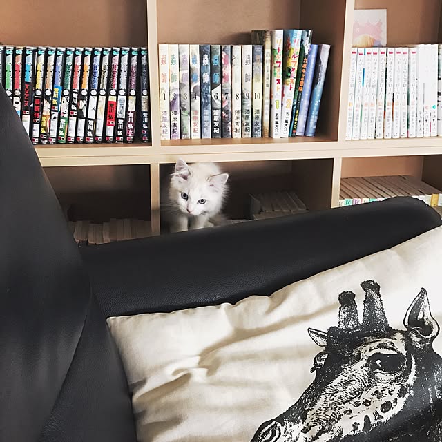 akiraiguchi32さんの実例写真
