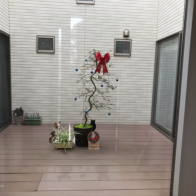 玄関/入り口/注文住宅/中庭のある家/Xmas飾り/茶色大好きのインテリア実例 - 2018-11-18 00:25:19