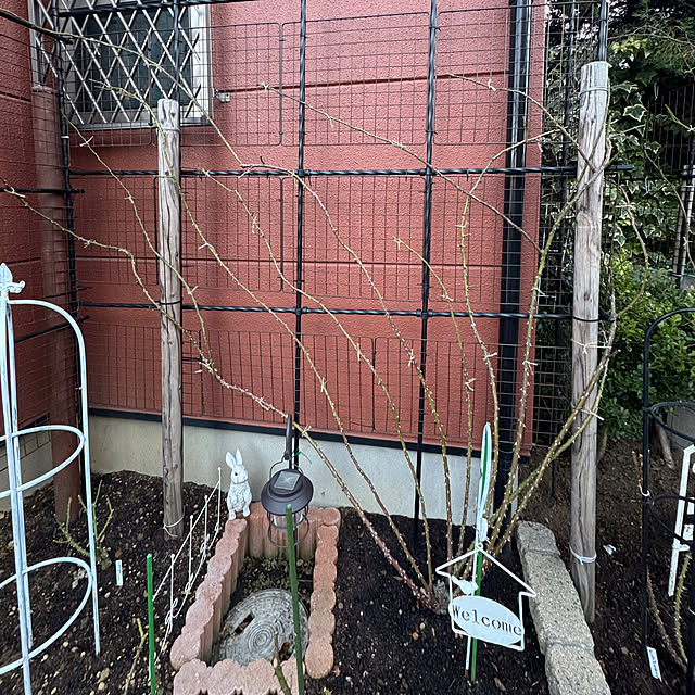 RoseLife5818さんの部屋