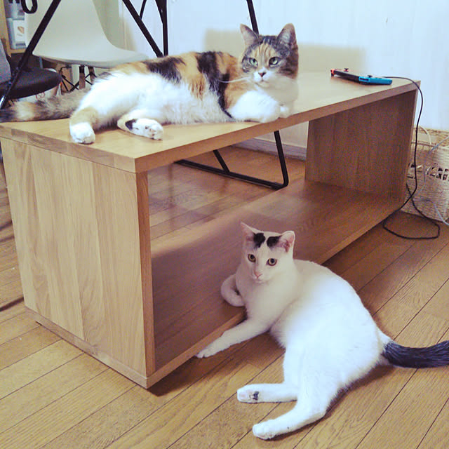 yukieさんの実例写真