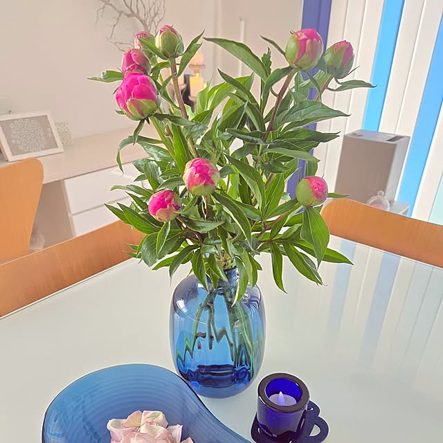 mutyukingさんの実例写真