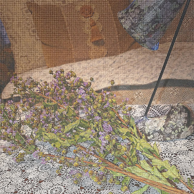 junkn6さんの実例写真
