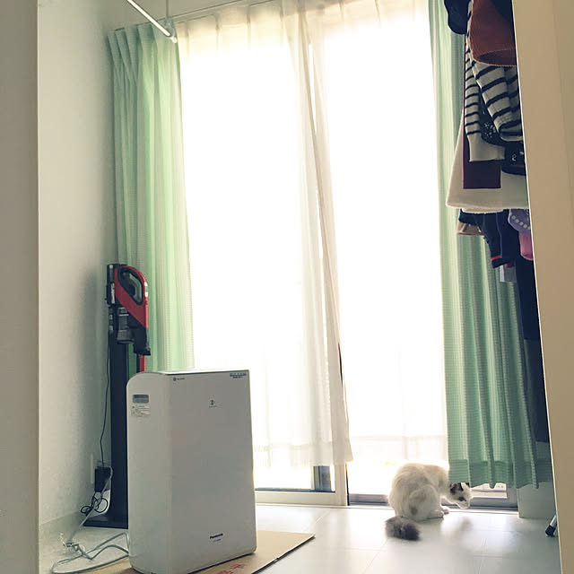 odebuさんの実例写真