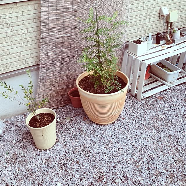 Mikaさんの実例写真