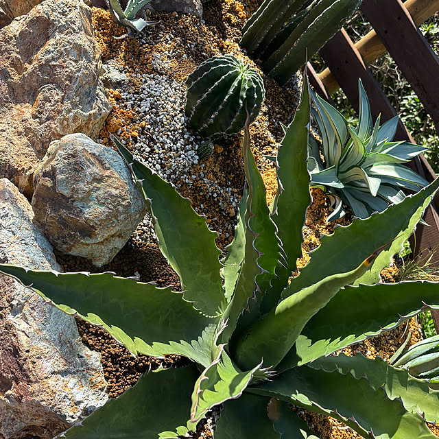 bonber0212さんの実例写真