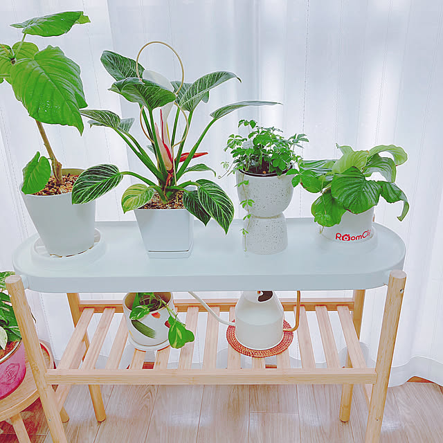 yuyuさんの部屋