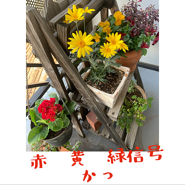JUNさんの実例写真
