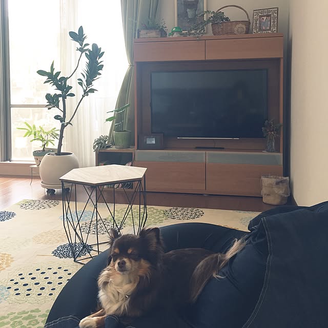 arinkoさんの実例写真