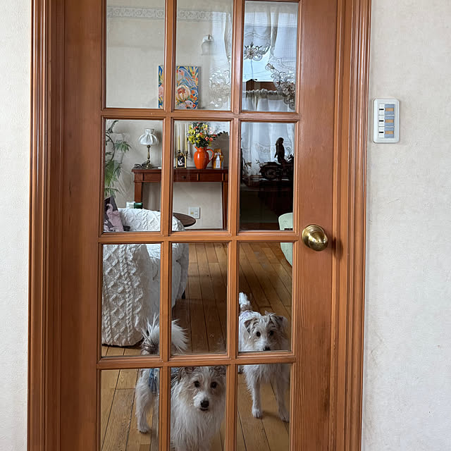 uzuraさんの実例写真