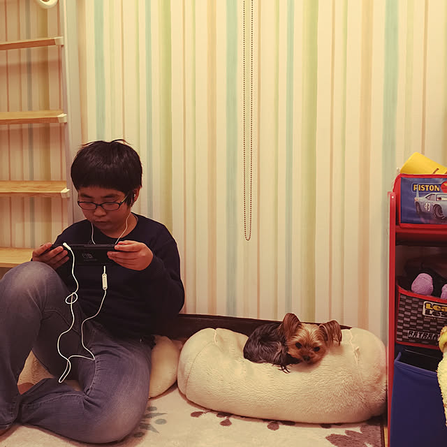 akiさんの実例写真