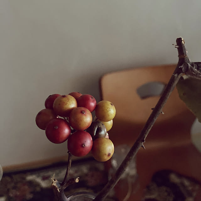 reeさんの実例写真