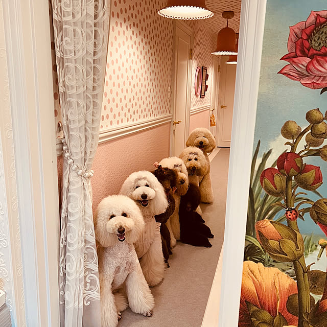 nackeyさんの部屋