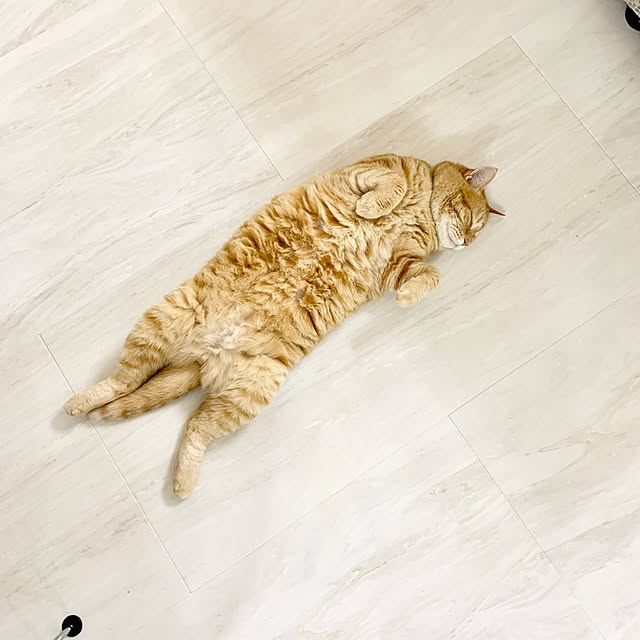 yun.mkrさんの実例写真