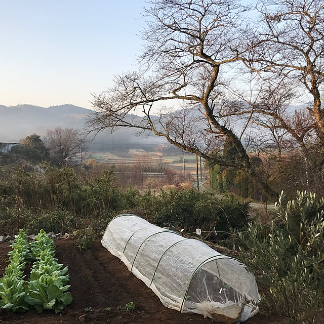 sakurasakuさんの実例写真