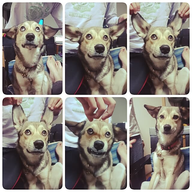 andさんの実例写真