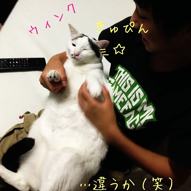 ベッド周り/むらにゃんのインテリア実例 - 2016-07-30 08:03:10