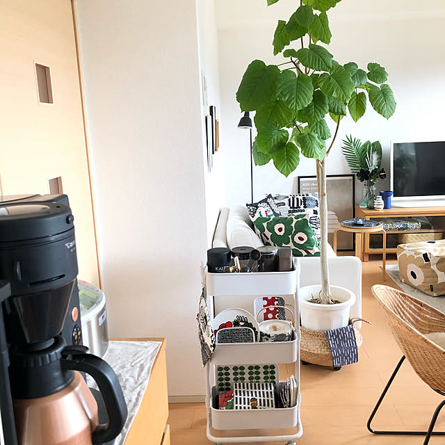 eriさんの実例写真