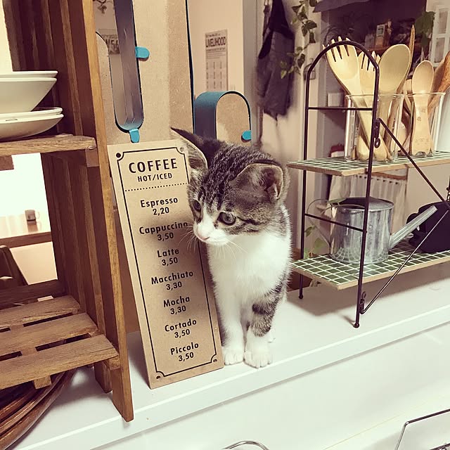 youkoさんの実例写真