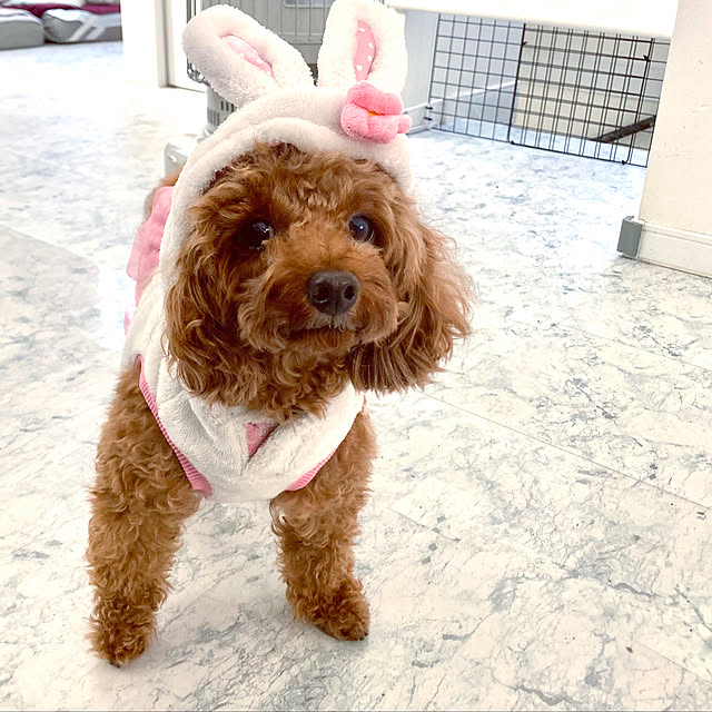 MOMOMAMAさんの実例写真
