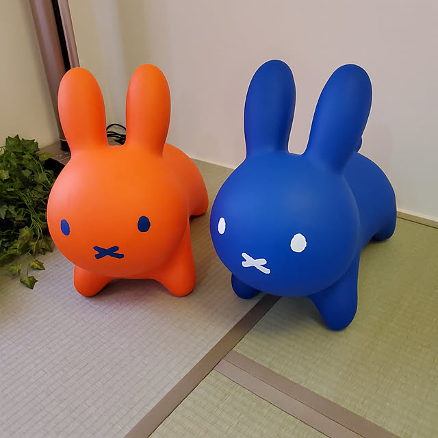 kappaさんの実例写真