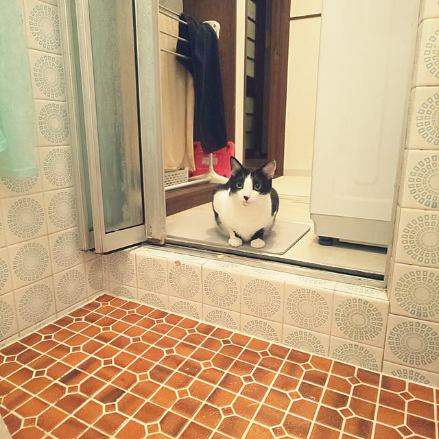 oseroさんの実例写真
