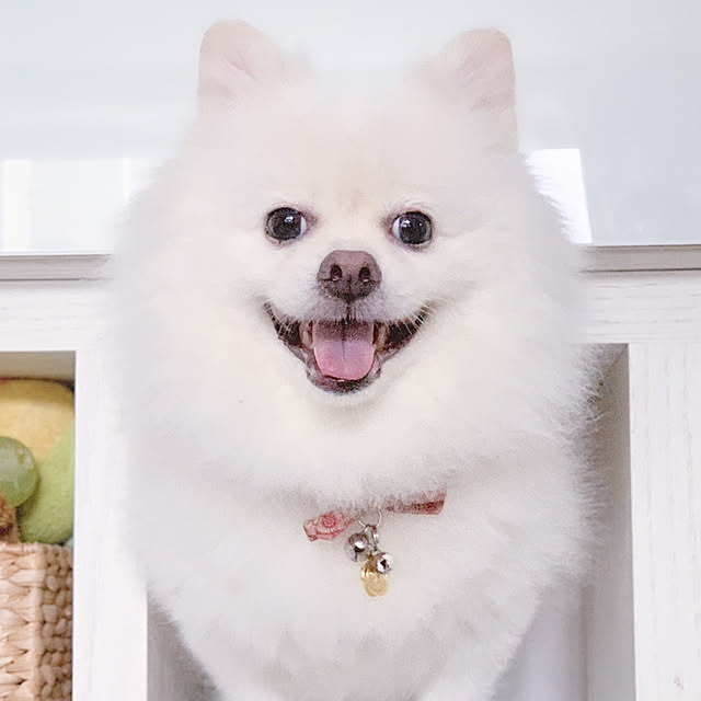 Belleさんの実例写真