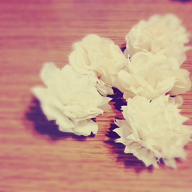 mika939pndrgnさんの実例写真