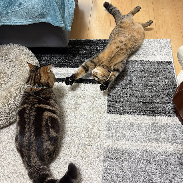 chiiさんのお部屋の写真