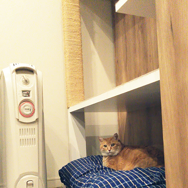 noriさんの実例写真