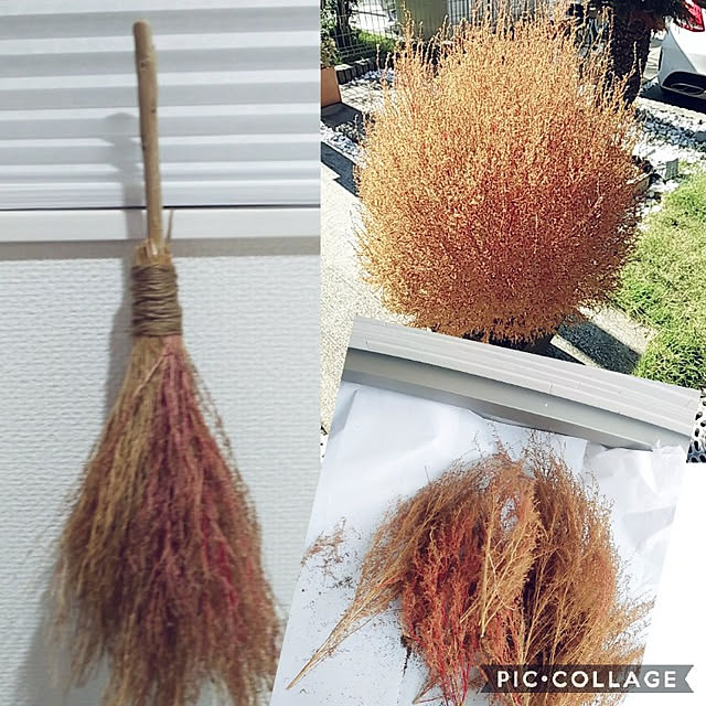 tomoさんの実例写真