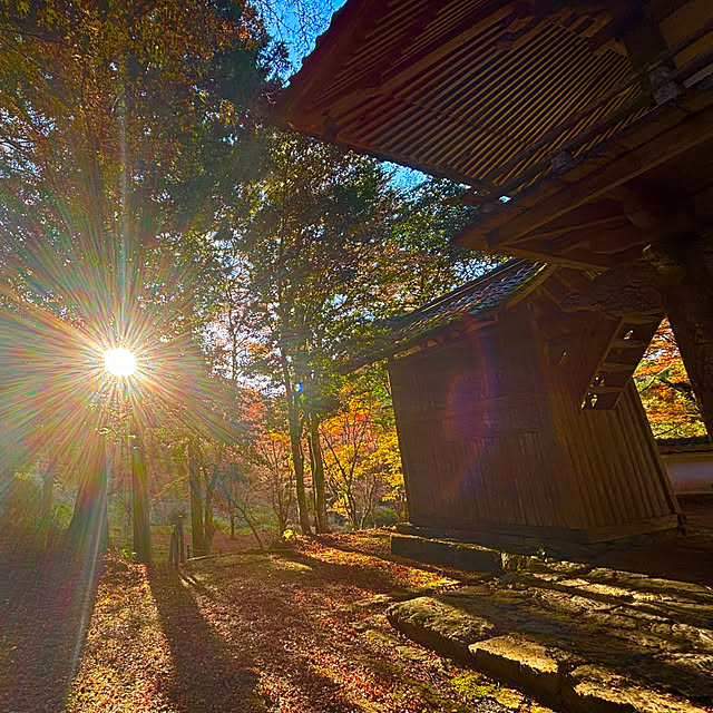 tututu0204さんの部屋