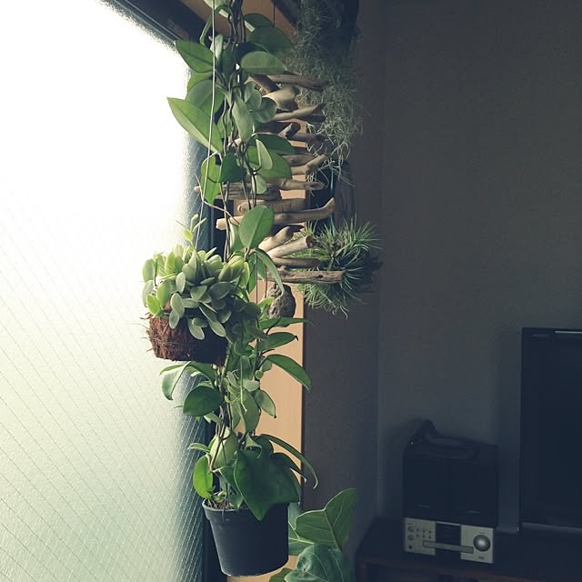 KINUさんの実例写真