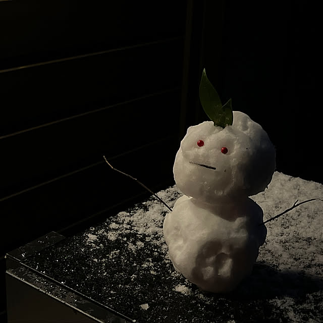 koiwaiさんの実例写真