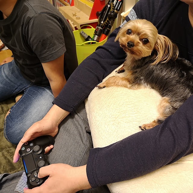 akiさんの実例写真