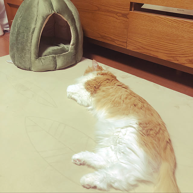 uchidaizuさんの実例写真