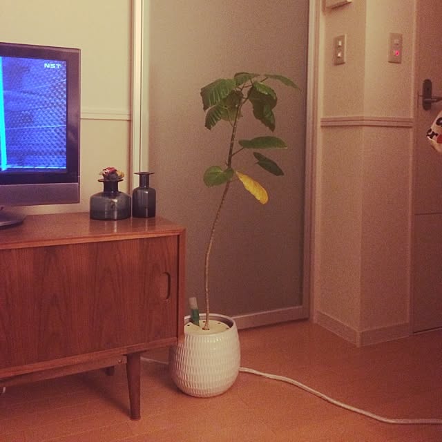 kukuruさんの実例写真