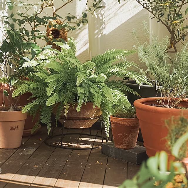 sho.houseさんの実例写真
