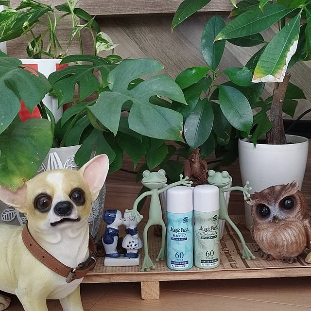 happy_kakakaさんの実例写真